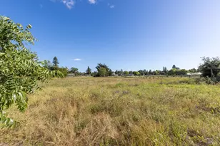 5163 Todd Rd, Sebastopol, CA 95472 - Photo 44