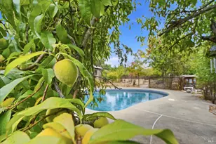 19229 Orange Ave, Sonoma, CA 95476 - Photo 26