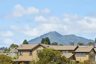 708 Point San Pedro Rd, San Rafael, CA 94901 - Photo 24