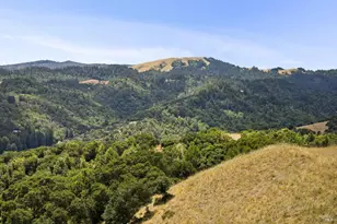 196 Oak Springs Dr, San Anselmo, CA 94960 - Photo 10