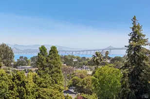 115 Marina Blvd, San Rafael, CA 94901 - Photo 50