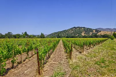 6160 Saint Helena Highway, Napa, CA 94558 - Photo 10
