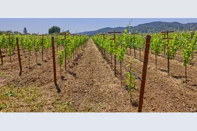 6160 Saint Helena Highway, Napa, CA 94558 - Photo 28