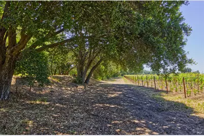 6160 Saint Helena Highway, Napa, CA 94558 - Photo 12