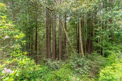44475 Little River Airport Road, Littleriver, CA 95456 - Photo 28