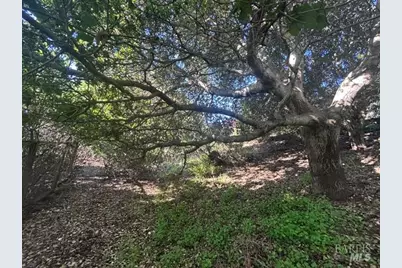 145 Antonette Drive, Tiburon, CA 94920 - Photo 12