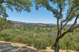 3393 St Helena Hwy, Saint Helena, CA 94574 - Photo 50