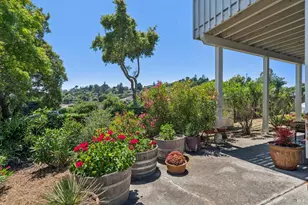 1 Bay Vista Ct, Mill Valley, CA 94941 - Photo 26