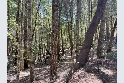 4541 Blue Lake Road, Willits, CA 95490 - Photo 2
