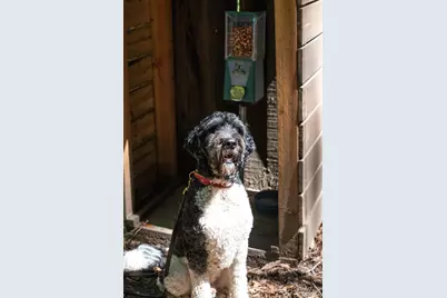 15521 Old Cazadero Road, Guerneville, CA 95446 - Photo 62