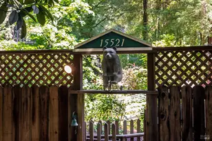 15521 Old Cazadero Rd, Guerneville, CA 95446 - Photo 58