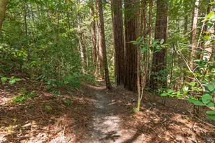 32401 S Hwy 1, Gualala, CA 95445 - Photo 56