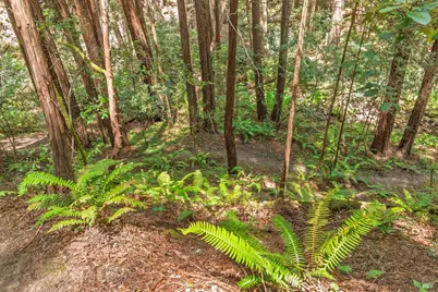 32401 S Highway 1, Gualala, CA 95445 - Photo 60