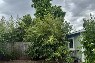 255 Burlington Dr, Ukiah, CA 95482 - Photo 8