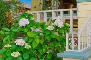 1134 Willow Ave, Napa, CA 94559 - Photo 54
