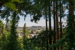70 Hazel Ave, Larkspur, CA 94939 - Photo 2