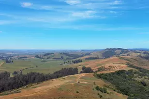 7470 Roblar Rd, Petaluma, CA 94952 - Photo 48