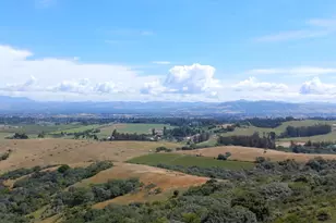7470 Roblar Rd, Petaluma, CA 94952 - Photo 52