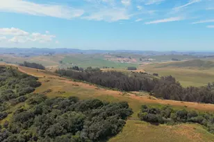 7470 Roblar Rd, Petaluma, CA 94952 - Photo 50