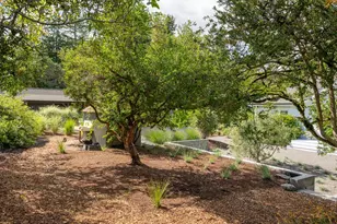 555 Magnolia Ave, Petaluma, CA 94952 - Photo 40