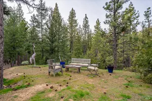 100 Blue Wolf Ranch, Callahan, CA 96014 - Photo 34