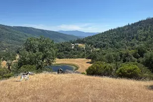 47601 Bentley Ridge, Covelo, CA 95428 - Photo 18
