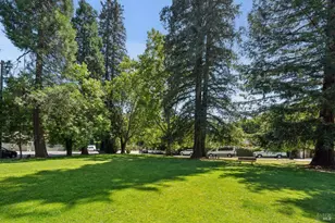 20 Cypress Dr, Fairfax, CA 94930 - Photo 46