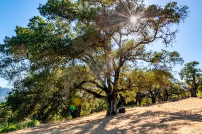 10420 White Fang Glen, Kenwood, CA 95452 - Photo 12