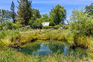 13511 Powerhouse Rd, Potter Valley, CA 95469 - Photo 48