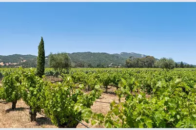1075 Lark Avenue, Sonoma, CA 95476 - Photo 38