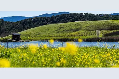 750 Conn Valley Road, Saint Helena, CA 94574 - Photo 8