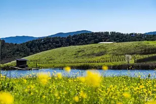 750 Conn Valley Rd, Saint Helena, CA 94574 - Photo 8