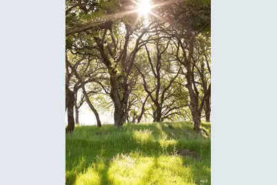 750 Conn Valley Road, Saint Helena, CA 94574 - Photo 28