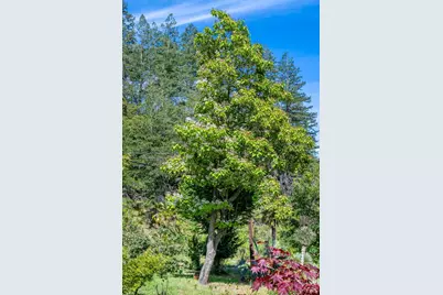 6662 St Helena Road, Santa Rosa, CA 95404 - Photo 42