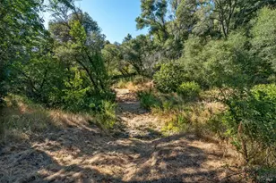 731 Gold Gulch Rd, Ukiah, CA 95482 - Photo 54