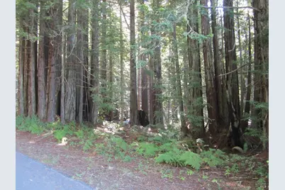 398 Packet Close Road, The Sea Ranch, CA 95497 - Photo 14