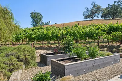 1297 Leaning Oak Drive, Napa, CA 94558 - Photo 40
