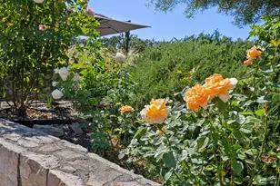1297 Leaning Oak Dr, Napa, CA 94558 - Photo 44