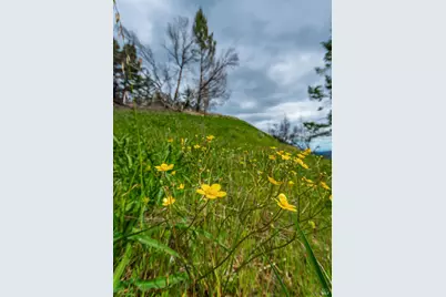 1401 Big Ridge Road, Healdsburg, CA 95448 - Photo 48