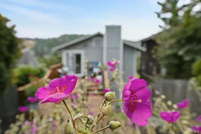 297 Shoreline Highway, Mill Valley, CA 94941 - Photo 26