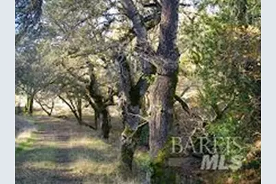 2100 Big Ridge Road, Healdsburg, CA 95448 - Photo 8