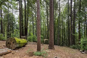 4030 Ridge Cir, Willits, CA 95490 - Photo 36