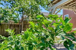2562 Silver Spur Dr, Santa Rosa, CA 95407 - Photo 46