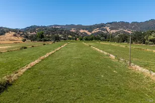 13951 N Busch Rd, Potter Valley, CA 95469 - Photo 36