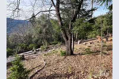 9457 Fox Drive, Cobb, CA 95426 - Photo 6