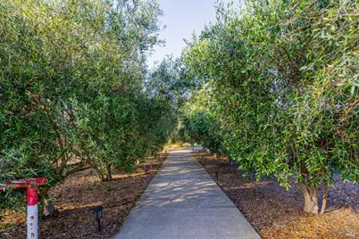 1793 Monticello Road, Napa, CA 94558 - Photo 12