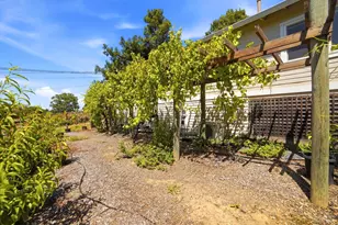7695 Atkinson Rd, Sebastopol, CA 95472 - Photo 38