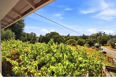 7695 Atkinson Road, Sebastopol, CA 95472 - Photo 36