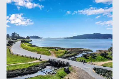 9 Burrell Court, Tiburon, CA 94920 - Photo 48