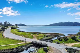 9 Burrell Ct, Tiburon, CA 94920 - Photo 48